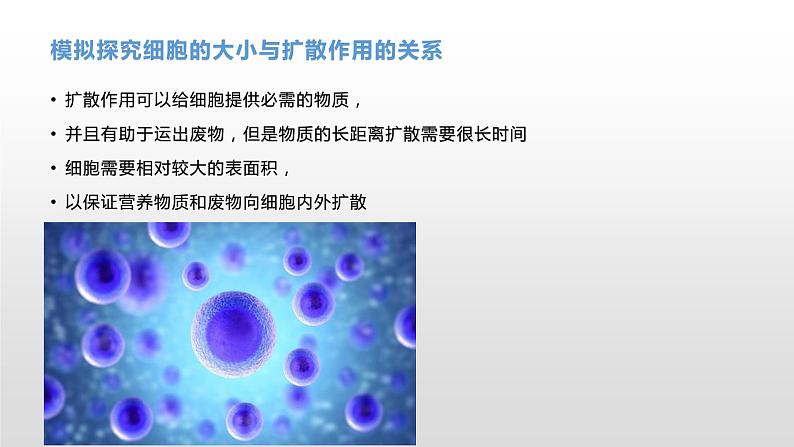 4.1 细胞通过分裂增殖(1) 课件浙科版(2019)高中生物必修一06