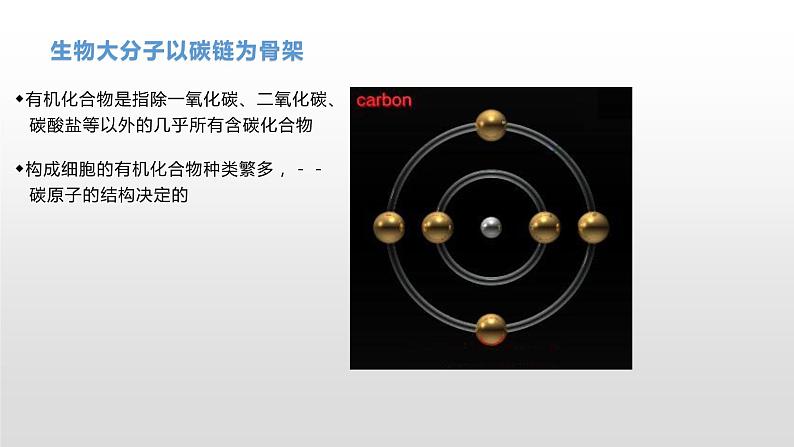 1.2 生物大分子以碳链为骨架(1)糖类 课件浙科版(2019)高中生物必修一(共41张PPT)03