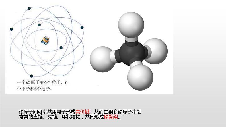 1.2 生物大分子以碳链为骨架(1)糖类 课件浙科版(2019)高中生物必修一(共41张PPT)04