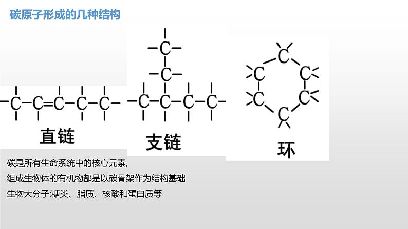 1.2 生物大分子以碳链为骨架(1)糖类 课件浙科版(2019)高中生物必修一(共41张PPT)05