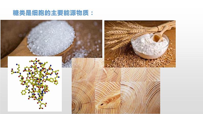 1.2 生物大分子以碳链为骨架(1)糖类 课件浙科版(2019)高中生物必修一(共41张PPT)07