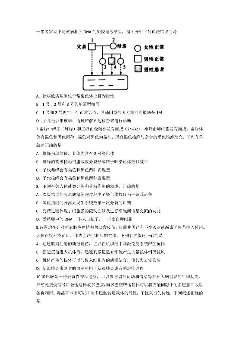 2022届湖北省部分重点中学高三上学期新起点联考生物试题 PDF版03
