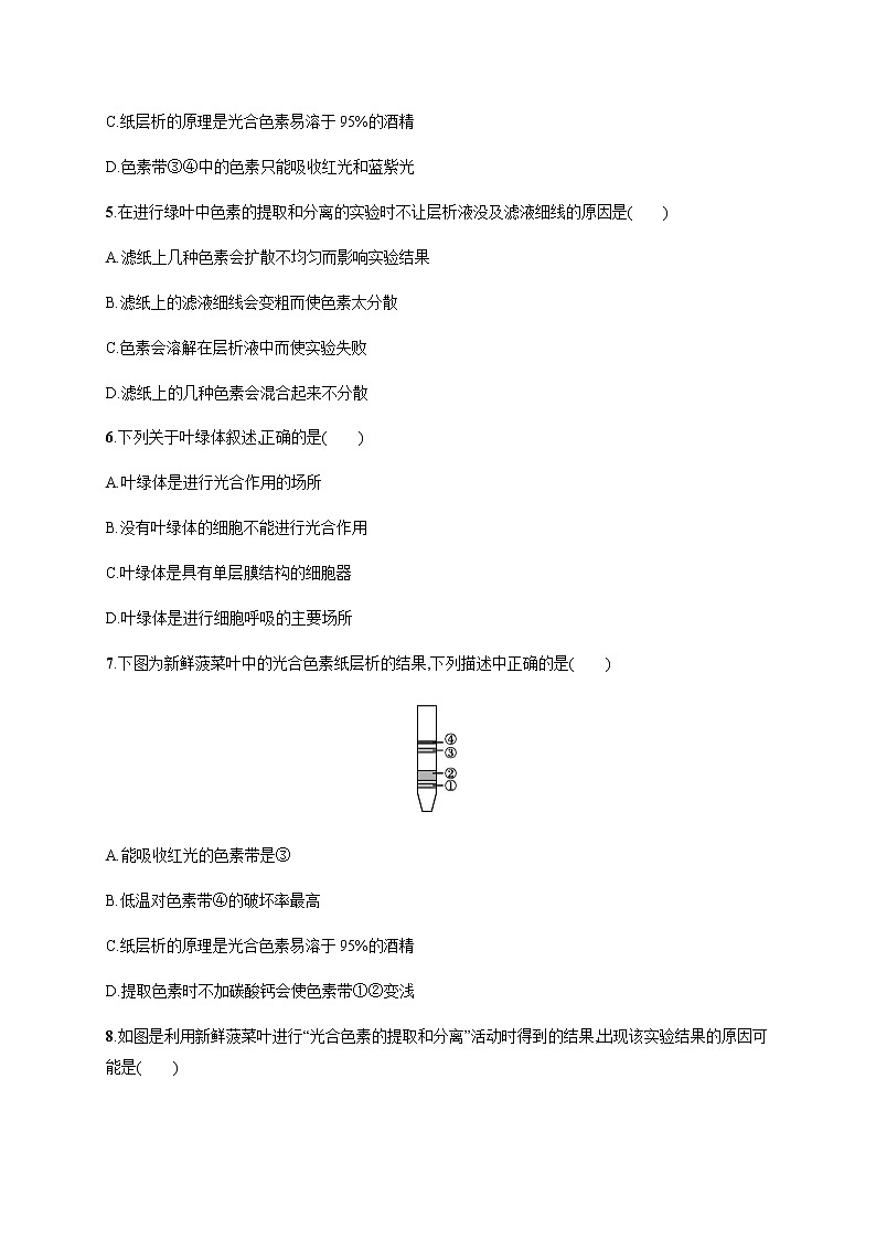 3.5 第1课时 光合作用概述、光合色素的提取与分离-练习浙科版(2019)高中生物必修一02