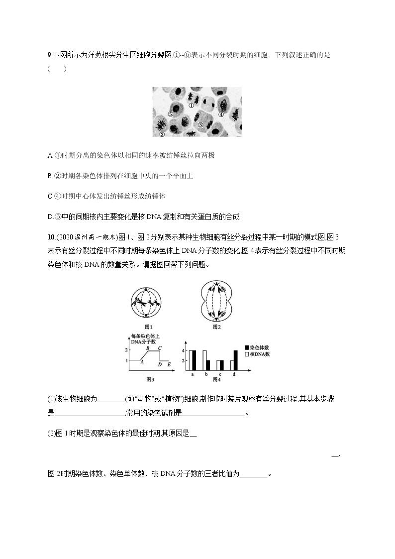 4.1 第2课时　细胞分裂过程中相关物质含量的变化及细胞癌变-练习浙科版（2019）高中生物必修一03