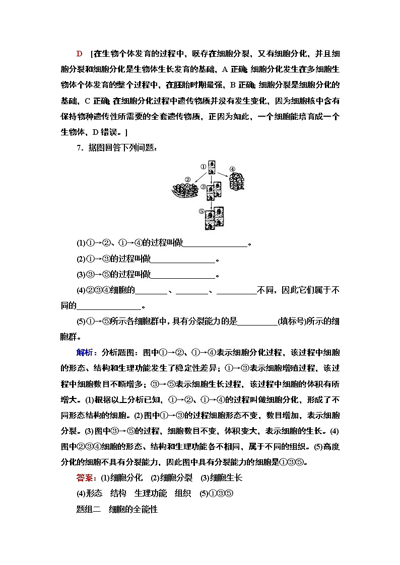 17 细胞通过分化产生不同类型的细胞 课时作业 2020-2021学年浙科版(2019)高中生物必修一 练习03