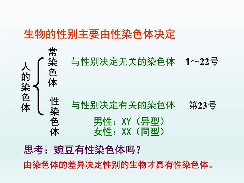 2.3 性染色体上基因的传和性别相关联 课件2020-2021学年浙科版(2019)高一生物必修二08