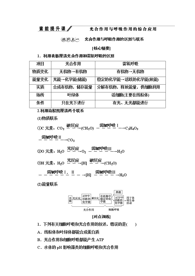 第3章　素能提升课 光合作用与呼吸作用的综合应用 讲义 2020-2021学年浙科版（2019）高中生物必修一教案01