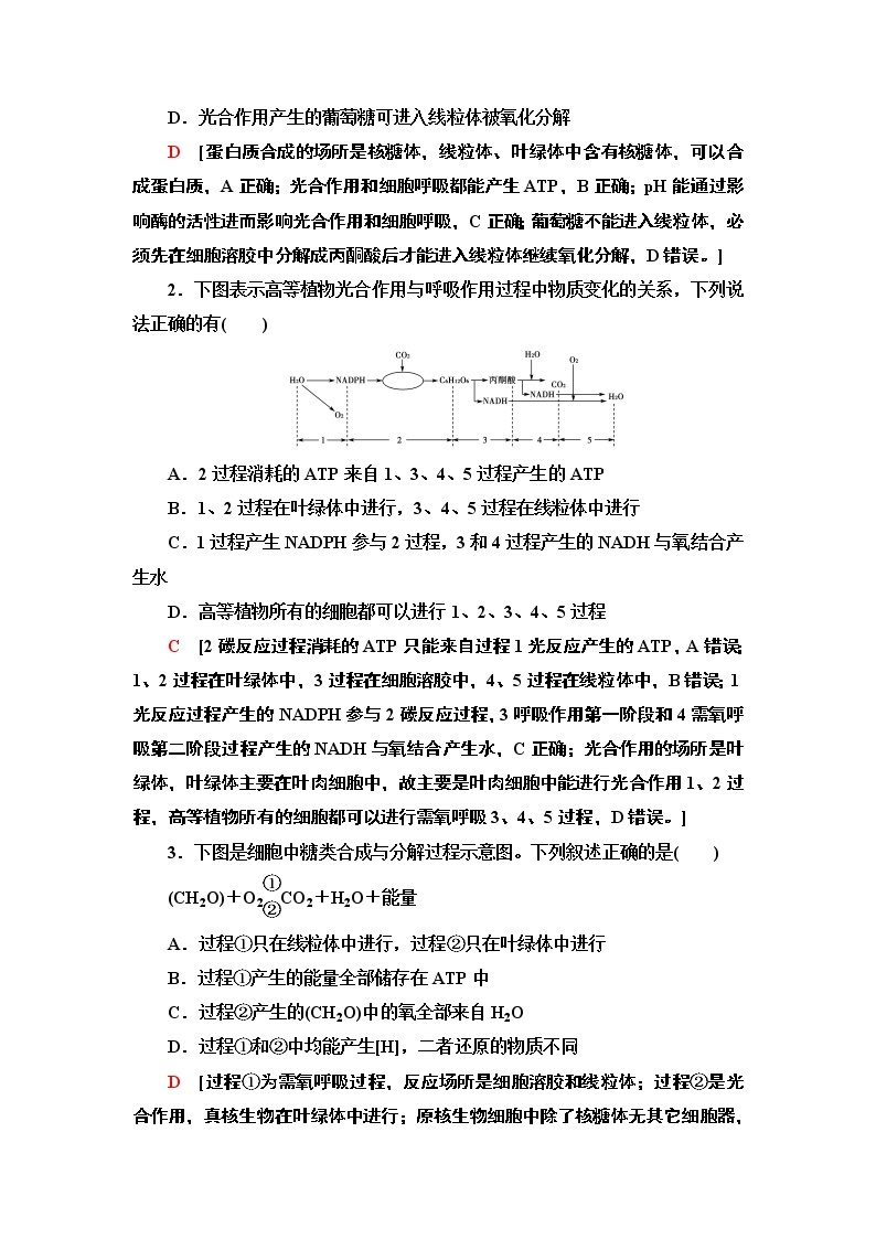 第3章　素能提升课 光合作用与呼吸作用的综合应用 讲义 2020-2021学年浙科版（2019）高中生物必修一教案02