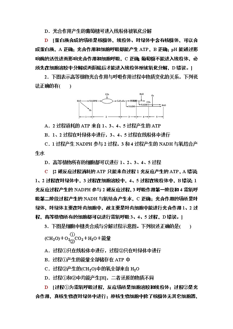 第3章 素能提升课 光合作用与呼吸作用的综合应用 讲义 2020-2021学年浙科版(2019)高中生物必修一教案02