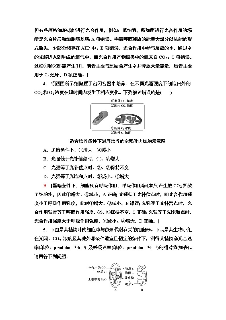 第3章 素能提升课 光合作用与呼吸作用的综合应用 讲义 2020-2021学年浙科版(2019)高中生物必修一教案03