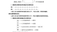 高中生物浙科版 (2019)必修1《分子与细胞》第二节 生物大分子以碳链为骨架教案设计