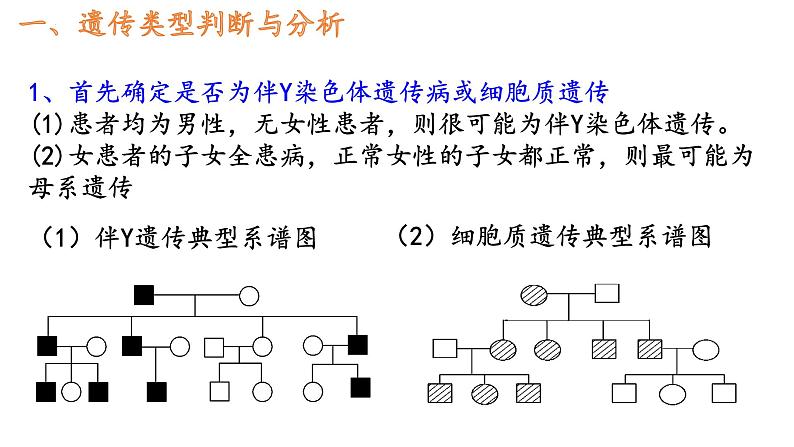 2.3伴性遗传的解题方法课件2021-2022学年高一下学期生物人教版必修2第2页