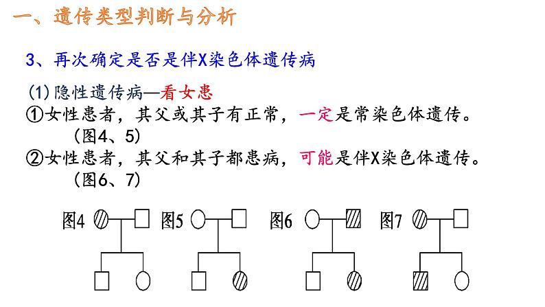 2.3伴性遗传的解题方法课件2021-2022学年高一下学期生物人教版必修2第4页