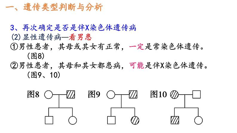 2.3伴性遗传的解题方法课件2021-2022学年高一下学期生物人教版必修2第5页