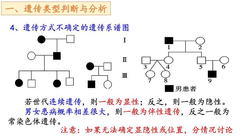 2.3伴性遗传的解题方法课件2021-2022学年高一下学期生物人教版必修2第7页