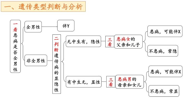 2.3伴性遗传的解题方法课件2021-2022学年高一下学期生物人教版必修2第8页
