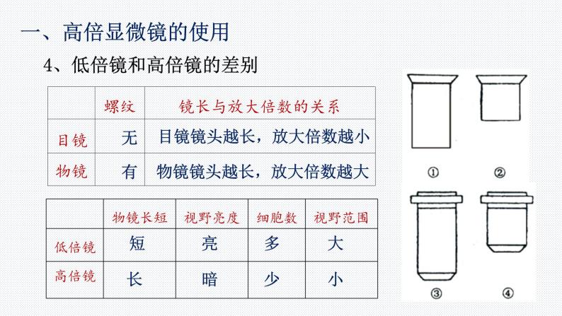 1.2 细胞的多样性和统一性 课件【新教材】人教版（2019）高中生物必修一 (共21张PPT)07