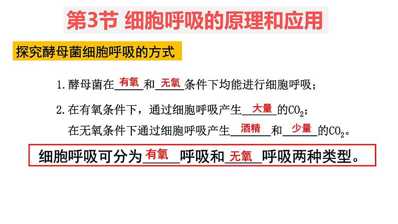 5.3 细胞呼吸的原理和应用 (2)课件【新教材】人教版(2019)高中生物必修一第2页