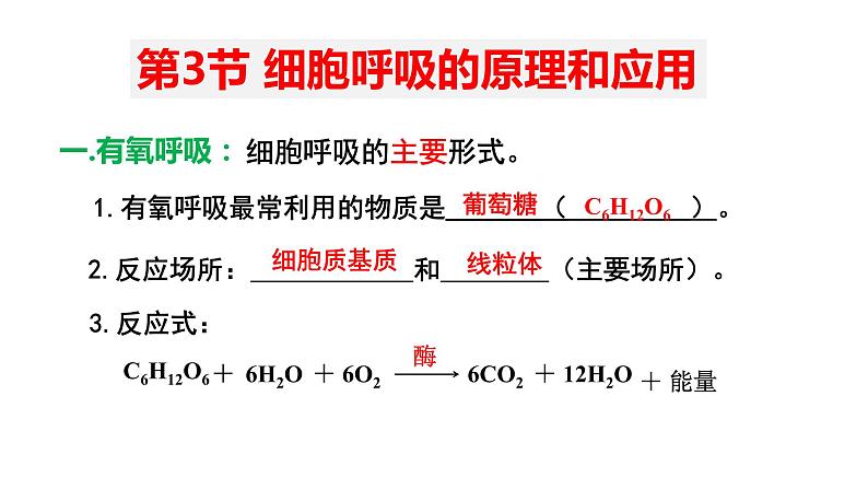 5.3 细胞呼吸的原理和应用 (2)课件【新教材】人教版(2019)高中生物必修一第4页