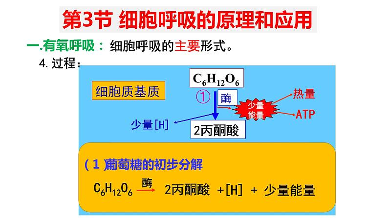 5.3 细胞呼吸的原理和应用 (2)课件【新教材】人教版(2019)高中生物必修一第5页