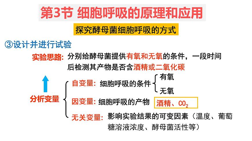 5.3 細(xì)胞呼吸的原理和應(yīng)用 (1)課件【新教材】人教版(2019)高中生物必修一第8頁(yè)