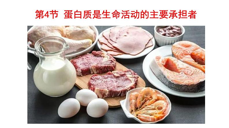 2.4 蛋白质是生命活动的主要承担者 课件【新教材】人教版(2019)高中生物必修一(共24张PPT)第1页