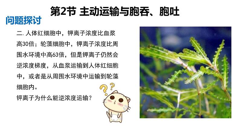 4.2 主动运输与胞吞、胞吐 课件【新教材】人教版(2019)高中生物必修一 (共21张PPT)03