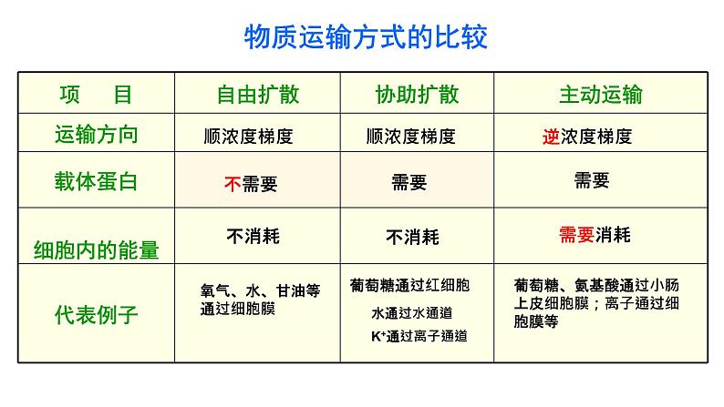 4.2 主动运输与胞吞、胞吐 课件【新教材】人教版(2019)高中生物必修一 (共21张PPT)08