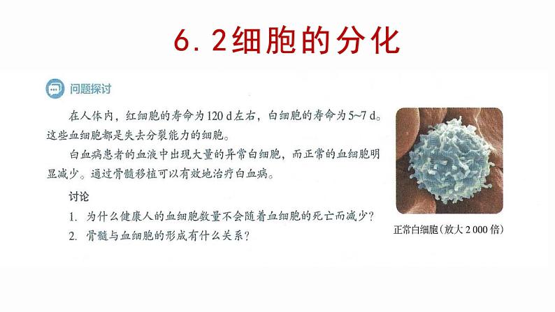 6.2 细胞的分化 课件【新教材】人教版(2019)高中生物必修一第1页
