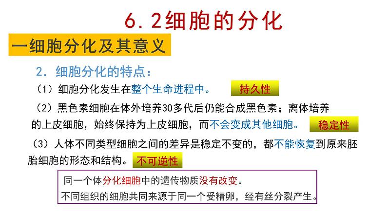 6.2 细胞的分化 课件【新教材】人教版(2019)高中生物必修一第5页