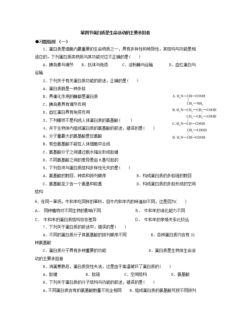 2.4 蛋白质是生命活动的主要承担者 练习【新教材】人教版(2019)高中生物必修一第1页