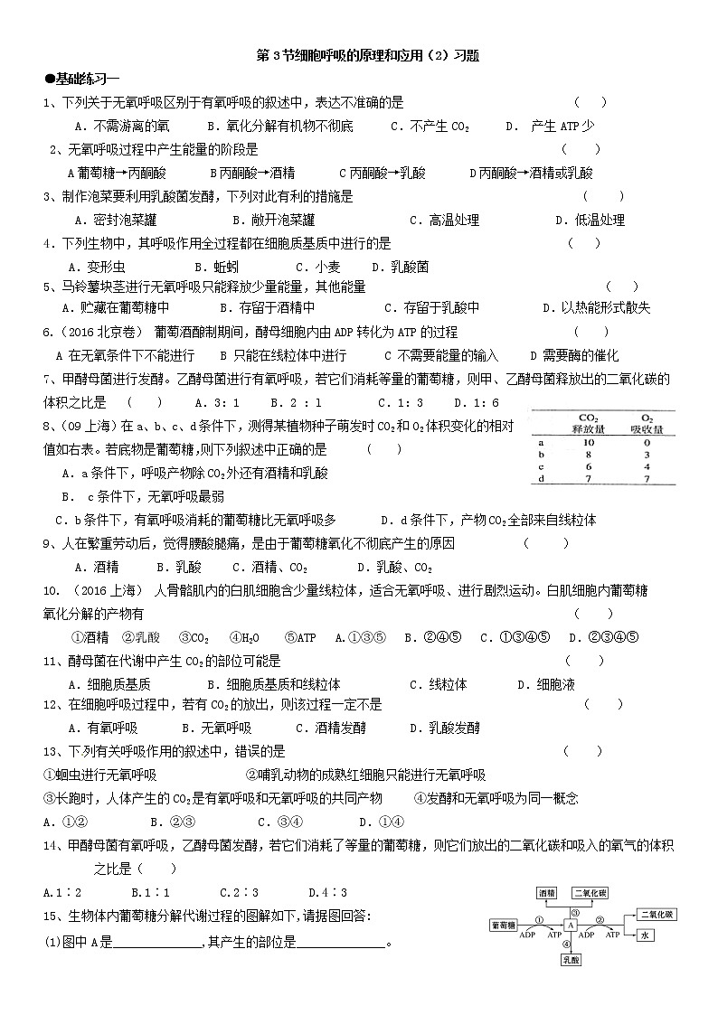 5.3 细胞呼吸的原理和应用(2)练习【新教材】人教版(2019)高中生物必修一第1页
