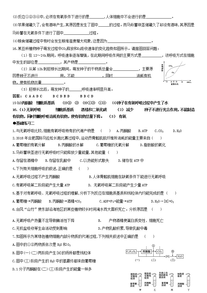 5.3 细胞呼吸的原理和应用(2)练习【新教材】人教版(2019)高中生物必修一第2页