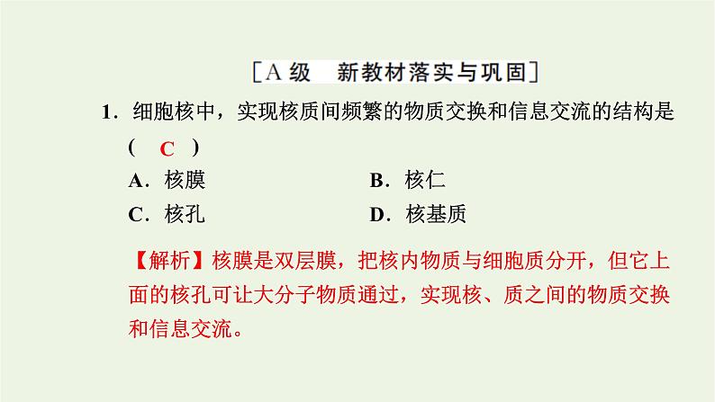 2021_2022学年新教材高中生物高效作业9细胞核是细胞生命活动的控制中心课件浙科版必修第一册02