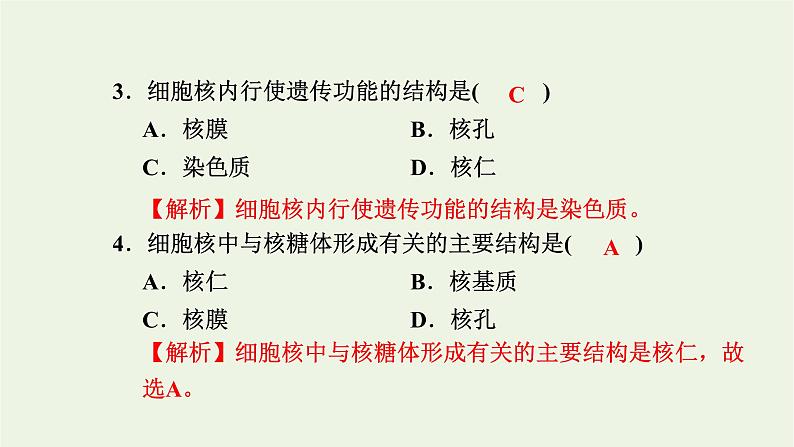2021_2022学年新教材高中生物高效作业9细胞核是细胞生命活动的控制中心课件浙科版必修第一册04