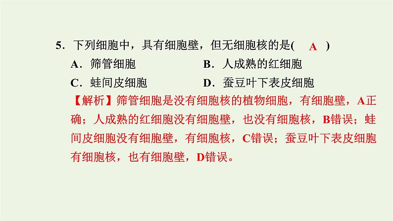 2021_2022学年新教材高中生物高效作业9细胞核是细胞生命活动的控制中心课件浙科版必修第一册05