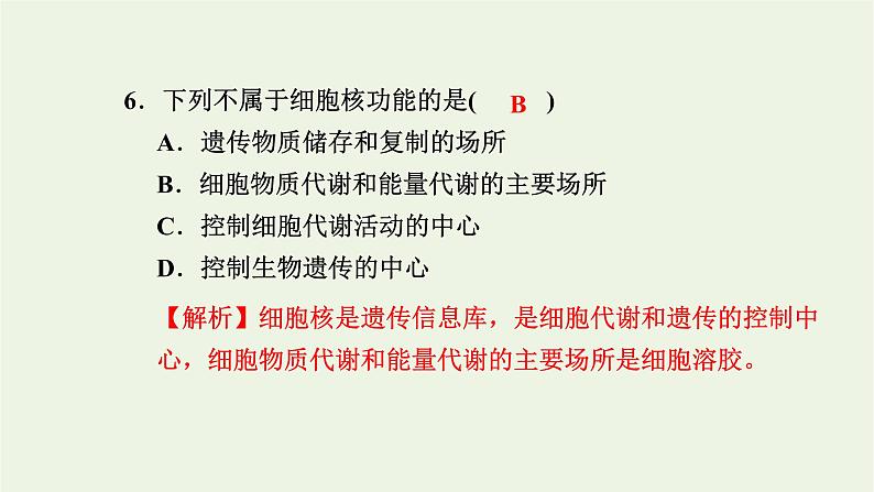 2021_2022学年新教材高中生物高效作业9细胞核是细胞生命活动的控制中心课件浙科版必修第一册06