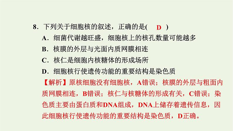 2021_2022学年新教材高中生物高效作业9细胞核是细胞生命活动的控制中心课件浙科版必修第一册08