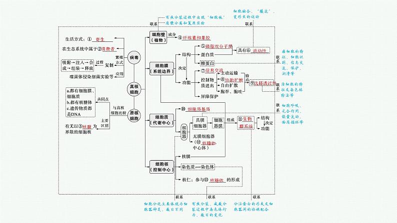 人教版新高考生物二轮复习课件--细胞的结构基础与物质运输04