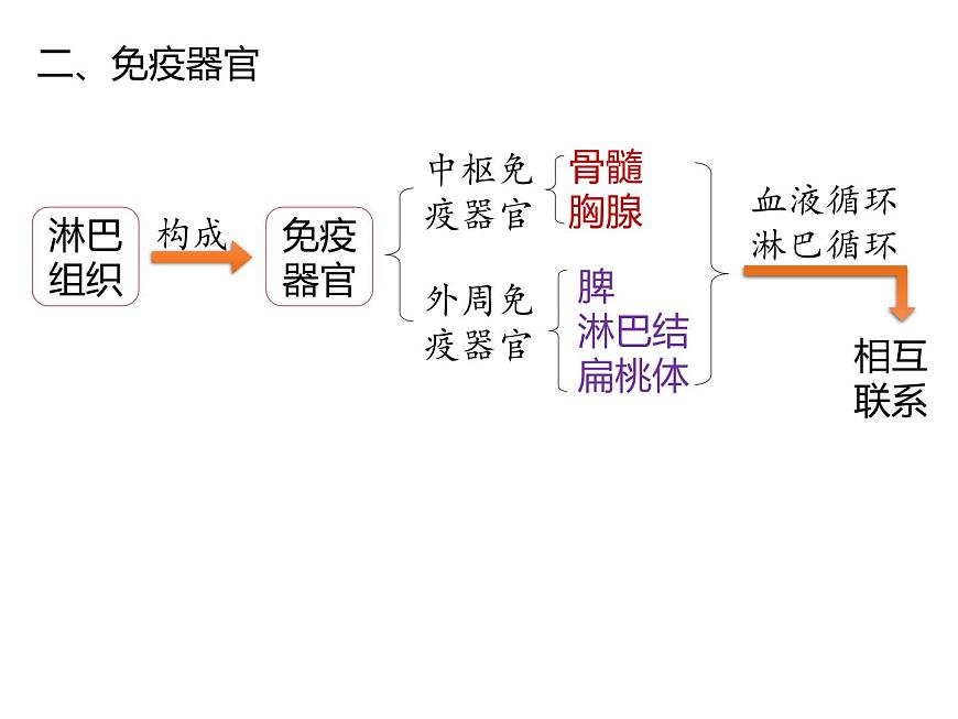 人教版(2019)高二生物選擇性必修1-4.1免疫系統(tǒng)的組成和功能課件PPT第6頁