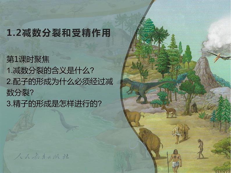 人教版(2019)高二生物必修2-2.1减数分裂和受精作用-1课件PPT01