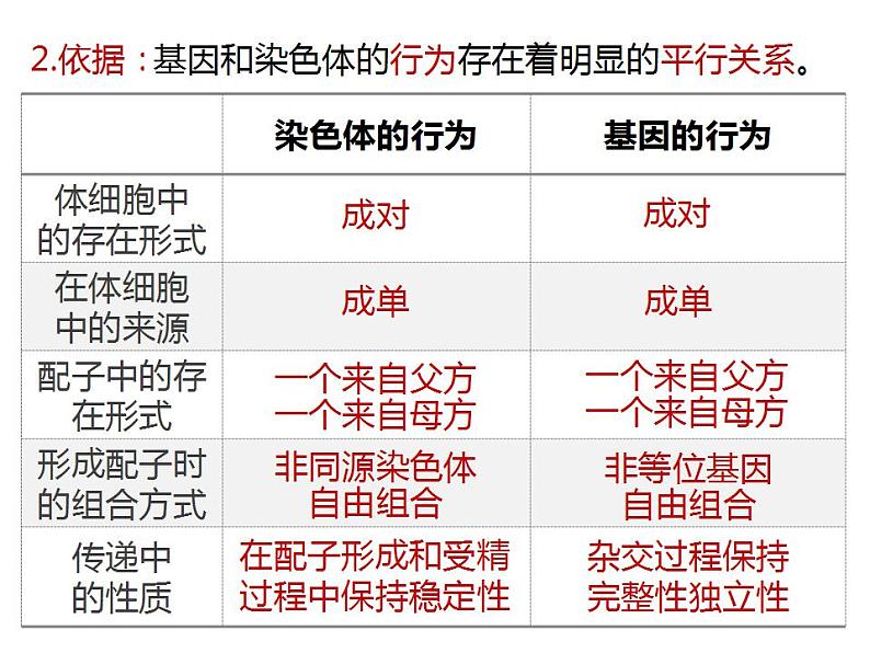 人教版(2019)高二生物必修2-2.2基因在染色体上(2)课件PPT第6页