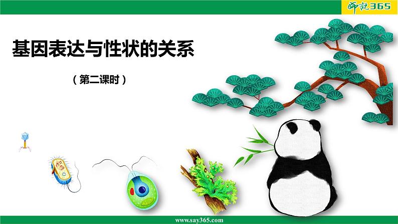 人教版(2019)高二生物必修2-4.2基因表达与性状的关系(第二课时)课件PPT第1页