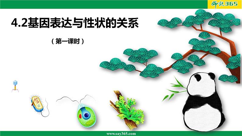 人教版(2019)高二生物必修2-4.2基因表达与性状的关系(第一课时)课件PPT01