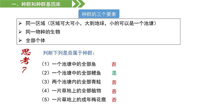 人教版(2019)高二生物必修2-6.3 种群基因组成的变化与物种的形成课件PPT第5页
