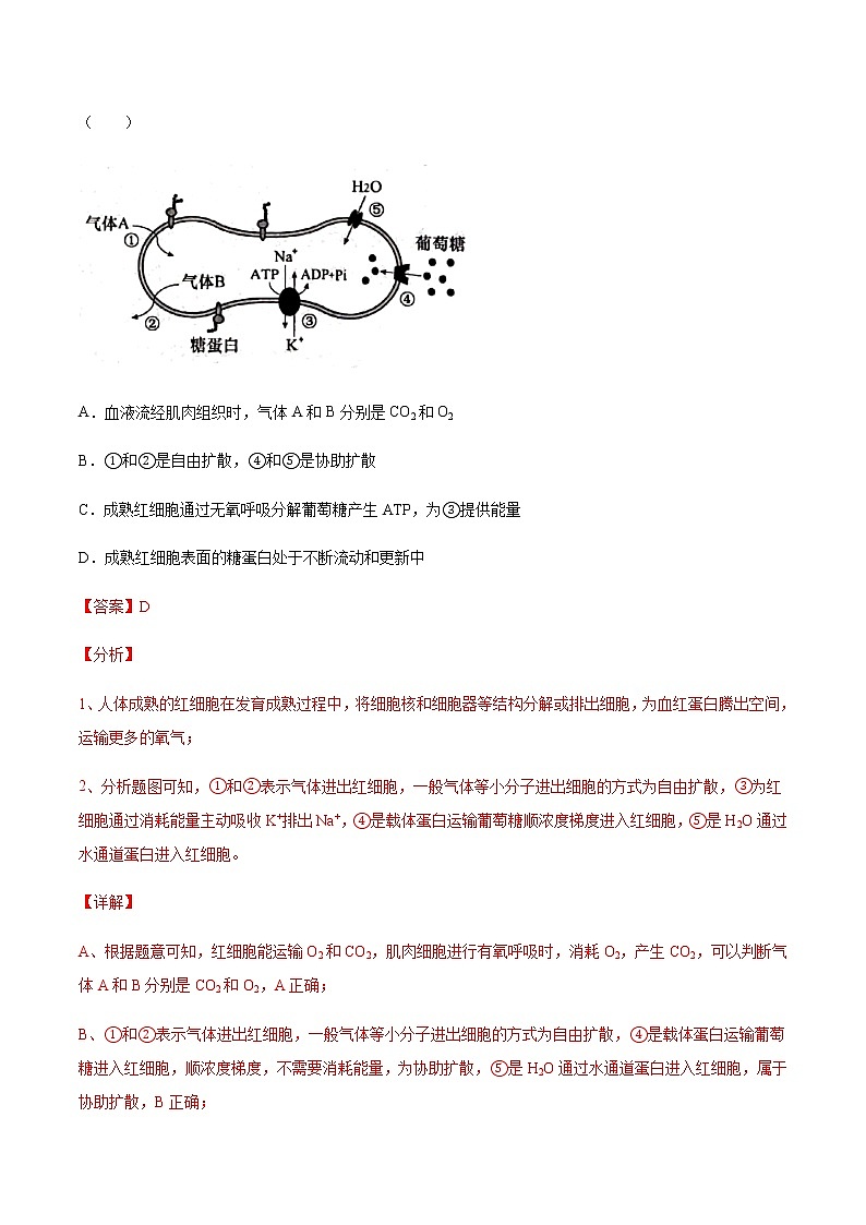 考點(diǎn)03 物質(zhì)運(yùn)輸-2022年高考生物一輪復(fù)習(xí)小題多維練（全國(guó)通用）（解析版）第3頁
