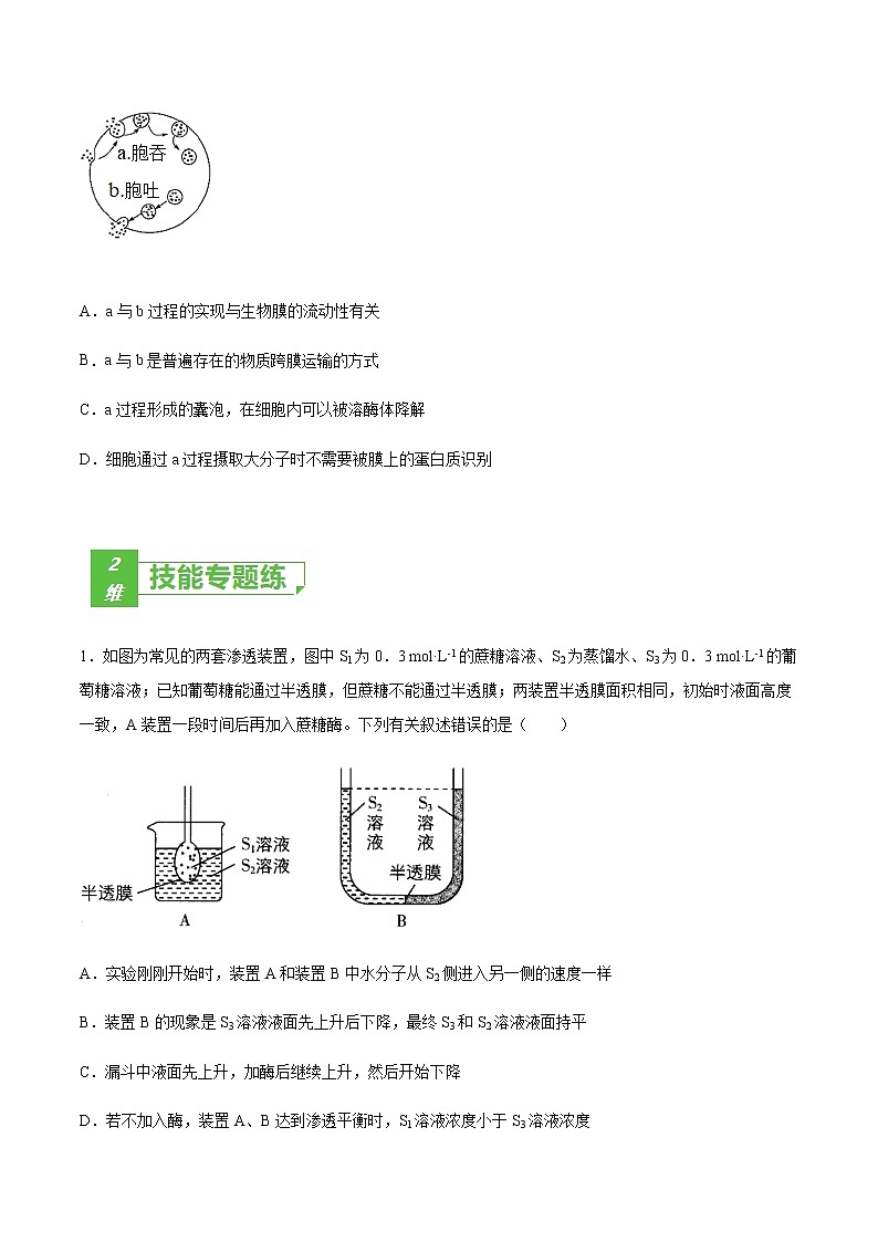 考點(diǎn)03 物質(zhì)運(yùn)輸-2022年高考生物一輪復(fù)習(xí)小題多維練（全國(guó)通用）（原卷版）第3頁