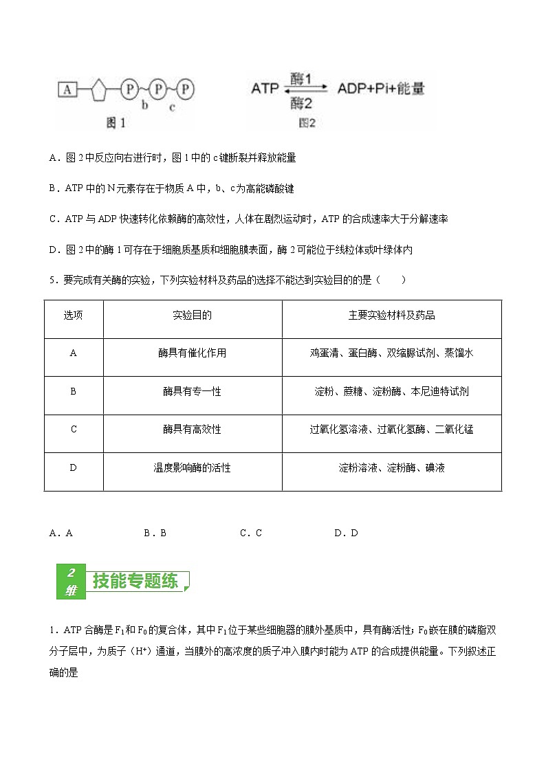 考点04 酶与ATP-2022年高考生物一轮复习小题多维练(全国通用)(原卷版)第2页