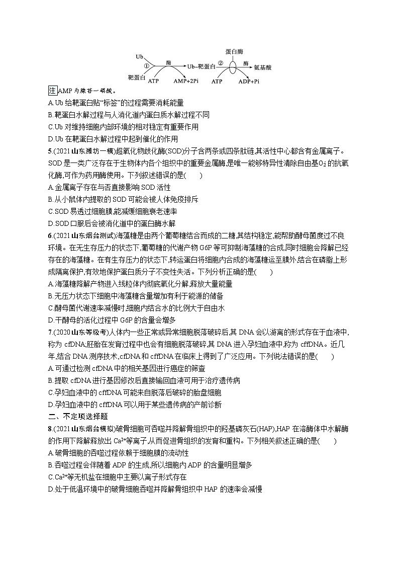 人教版新高考生物二轮复习专题训练--细胞的分子基础第2页