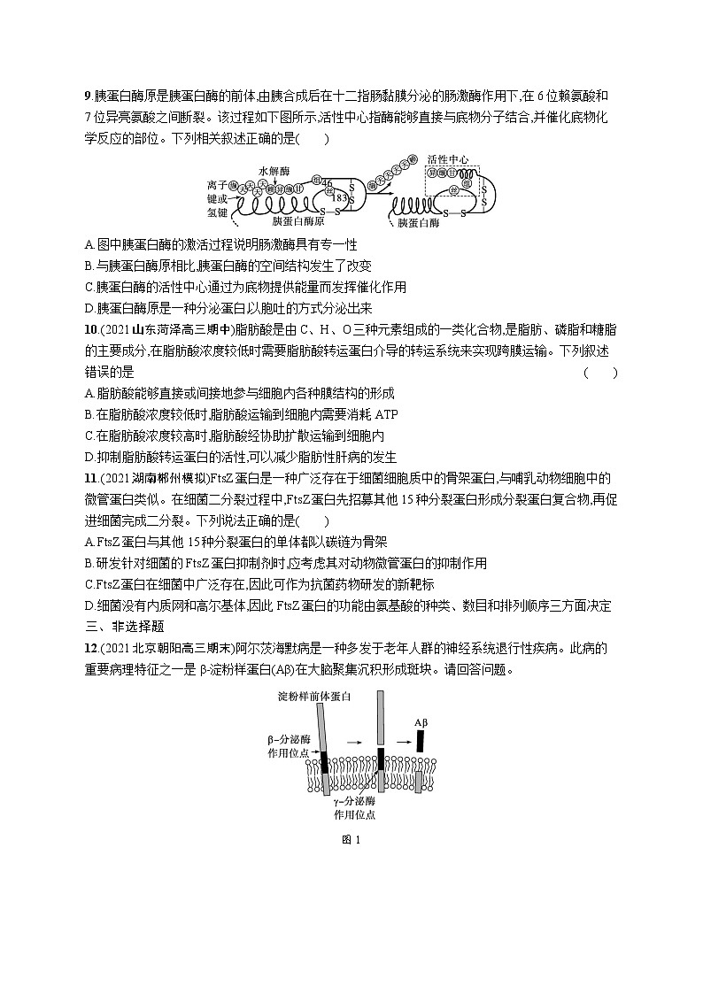 人教版新高考生物二轮复习专题训练--细胞的分子基础第3页